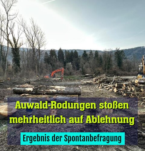 Ergebnis der Spontanbefragung