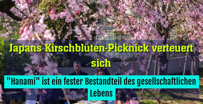 "Hanami" ist ein fester Bestandteil des gesellschaftlichen Lebens