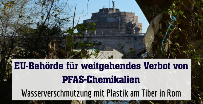 Wasserverschmutzung mit Plastik am Tiber in Rom