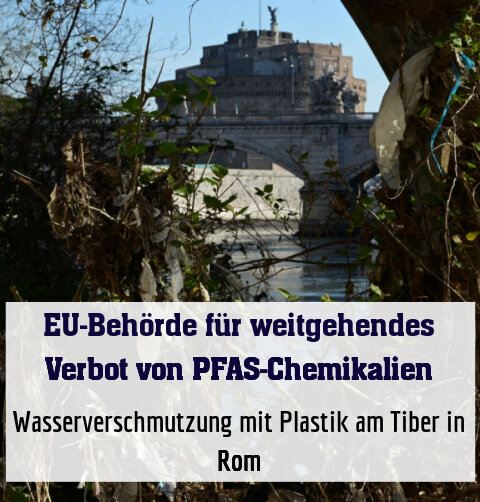 Wasserverschmutzung mit Plastik am Tiber in Rom