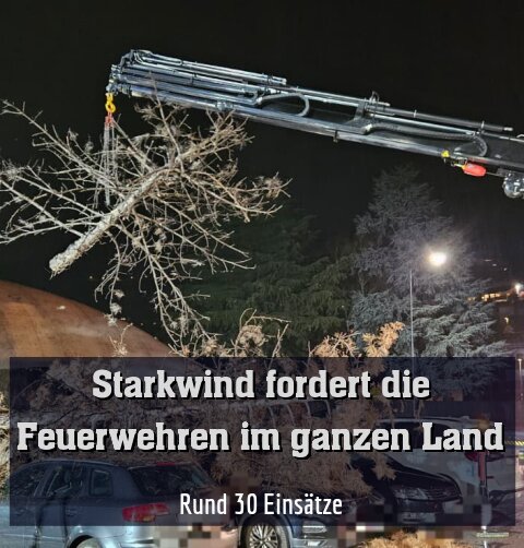 Rund 30 Einsätze