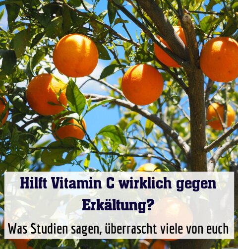 Was Studien sagen, überrascht viele von euch