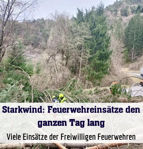 Viele Einsätze der Freiwilligen Feuerwehren