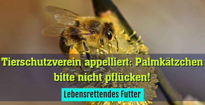 Lebensrettendes Futter