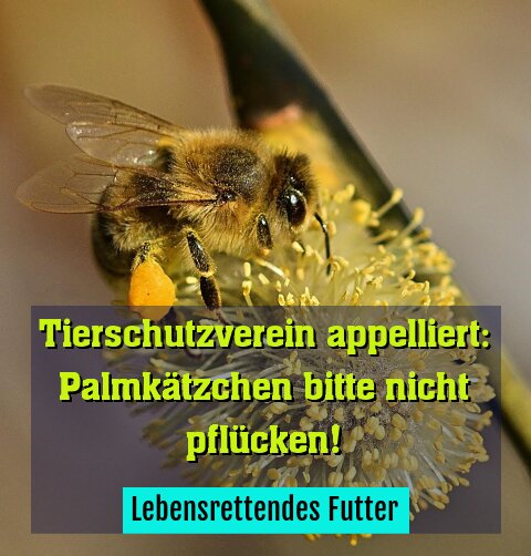 Lebensrettendes Futter