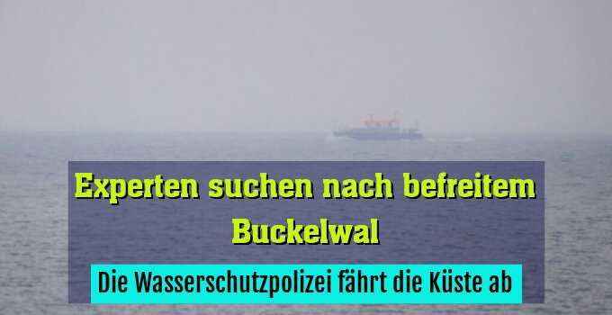 Die Wasserschutzpolizei fährt die Küste ab