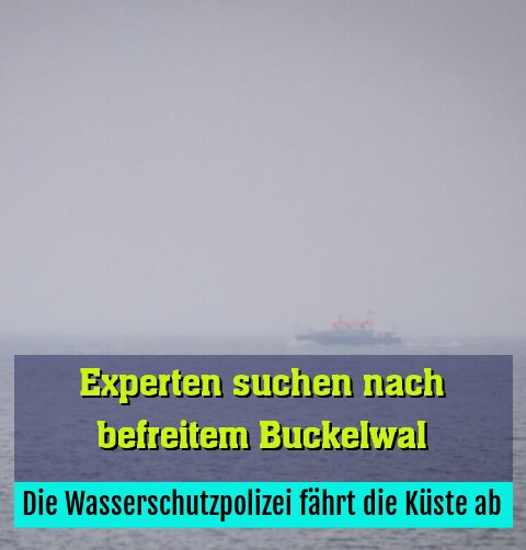 Die Wasserschutzpolizei fährt die Küste ab