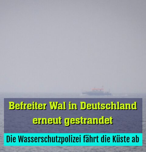 Die Wasserschutzpolizei fährt die Küste ab