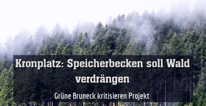 Grüne Bruneck kritisieren Projekt 