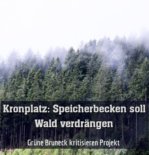 Grüne Bruneck kritisieren Projekt 