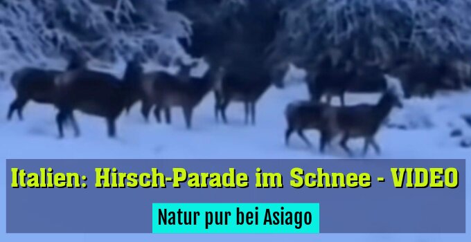 Natur pur bei Asiago