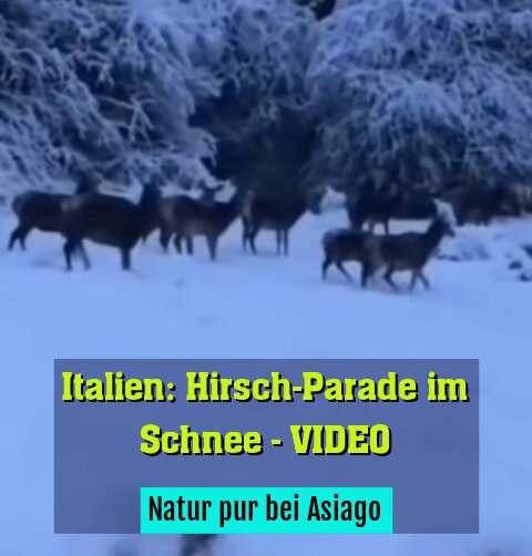 Natur pur bei Asiago