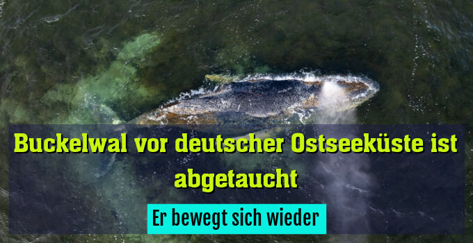 Er bewegt sich wieder