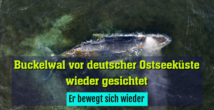 Er bewegt sich wieder