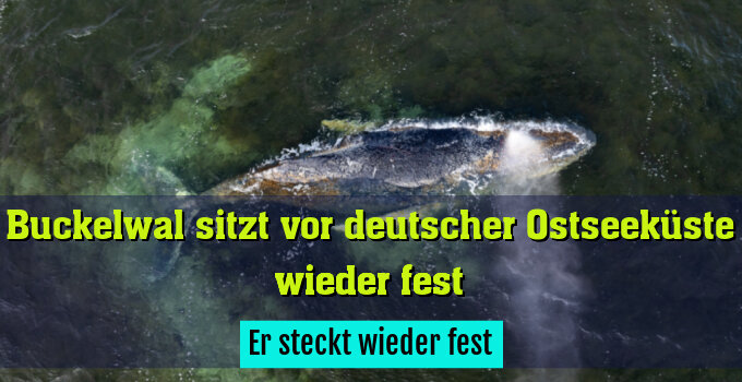 Er steckt wieder fest