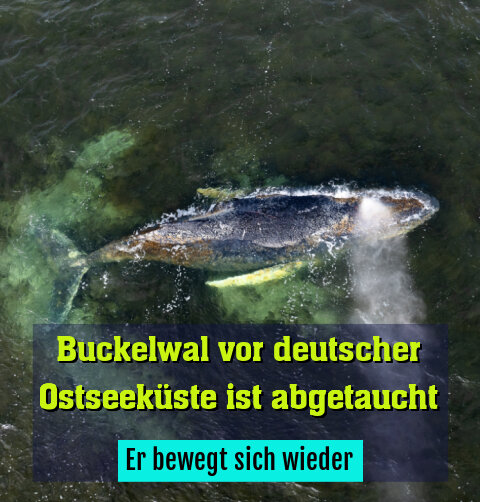 Er bewegt sich wieder
