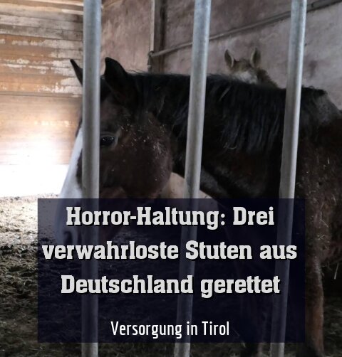 Versorgung in Tirol