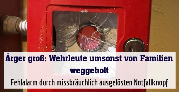 Fehlalarm durch missbräuchlich ausgelösten Notfallknopf