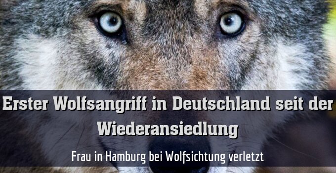 Frau in Hamburg bei Wolfsichtung verletzt