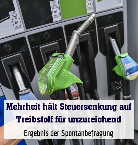 Ergebnis der Spontanbefragung