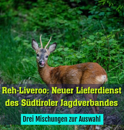 Drei Mischungen zur Auswahl