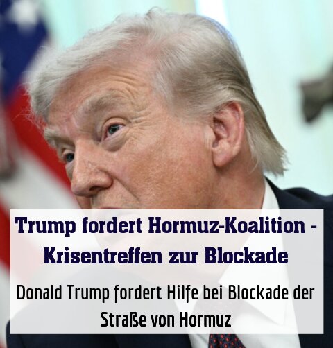 Donald Trump fordert Hilfe bei Blockade der Straße von Hormuz