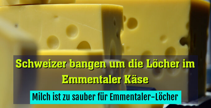 Milch ist zu sauber für Emmentaler-Löcher