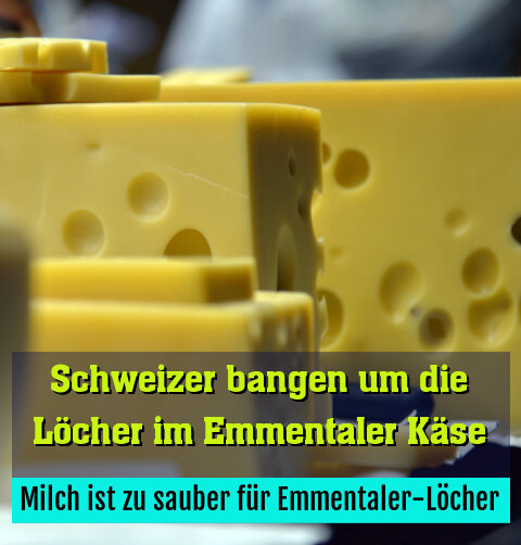 Milch ist zu sauber für Emmentaler-Löcher