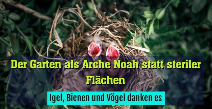 Igel, Bienen und Vögel danken es
