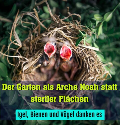 Igel, Bienen und Vögel danken es