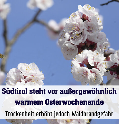 Trockenheit erhöht jedoch Waldbrandgefahr