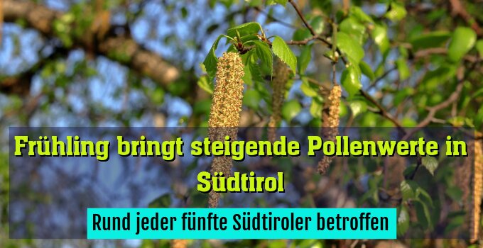 Rund jeder fünfte Südtiroler betroffen