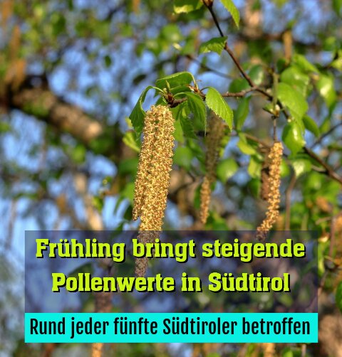 Rund jeder fünfte Südtiroler betroffen