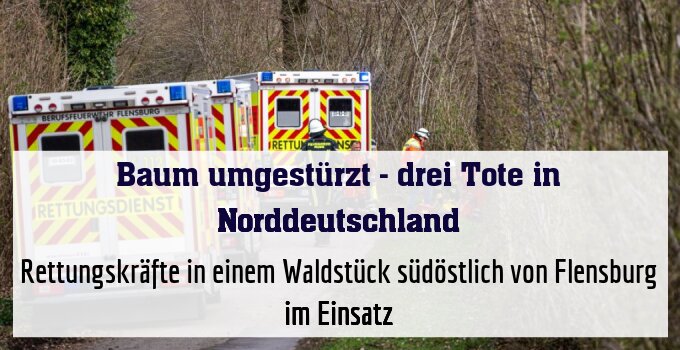 Rettungskräfte in einem Waldstück südöstlich von Flensburg im Einsatz