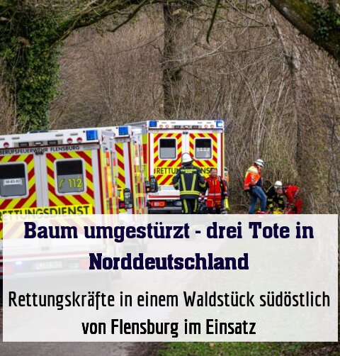 Rettungskräfte in einem Waldstück südöstlich von Flensburg im Einsatz