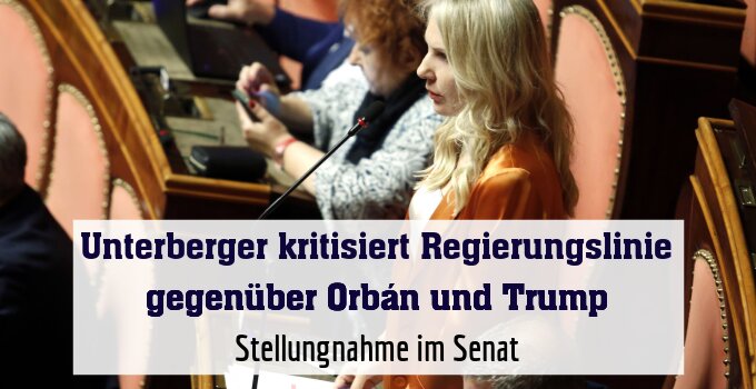 Stellungnahme im Senat