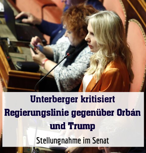 Stellungnahme im Senat