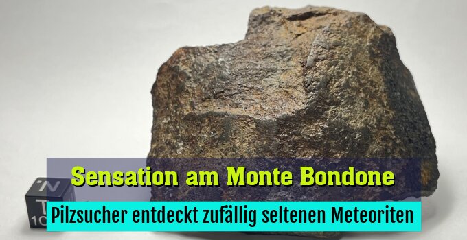 Pilzsucher entdeckt zufällig seltenen Meteoriten