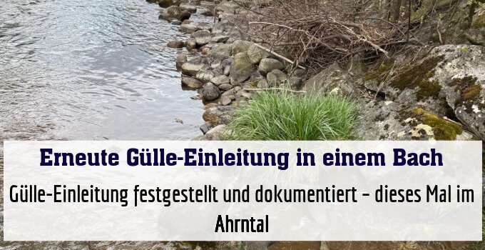 Fischereiberechtigte haben eine Gülle-Einleitung festgestellt und dokumentiert – dieses Mal im Ahrntal