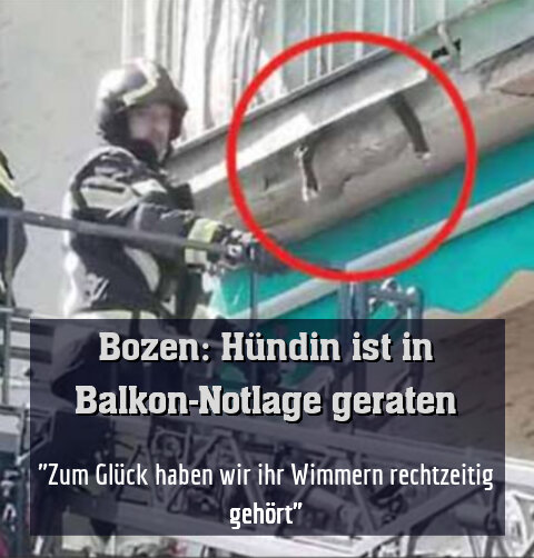 "Zum Glück haben wir ihr Wimmern rechtzeitig gehört"