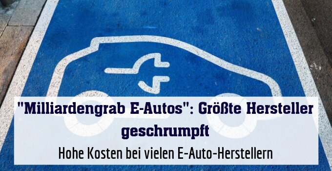 Hohe Kosten bei vielen E-Auto-Herstellern