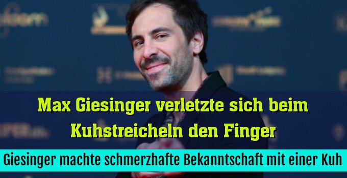 Giesinger machte schmerzhafte Bekanntschaft mit einer Kuh