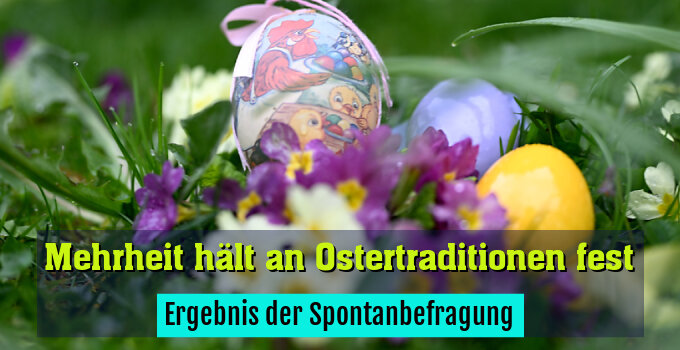 Ergebnis der Spontanbefragung