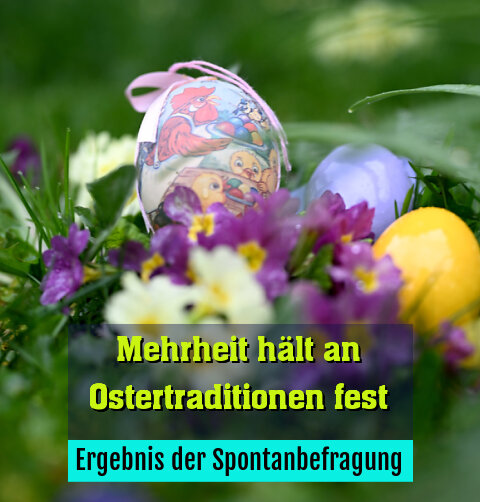 Ergebnis der Spontanbefragung