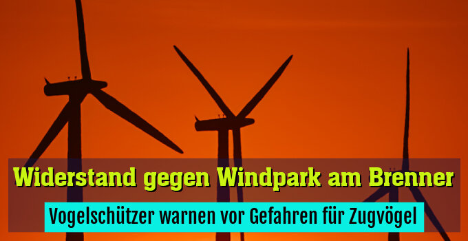 Vogelschützer warnen vor Gefahren für Zugvögel