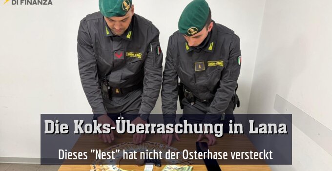 Dieses "Nest" hat nicht der Osterhase versteckt