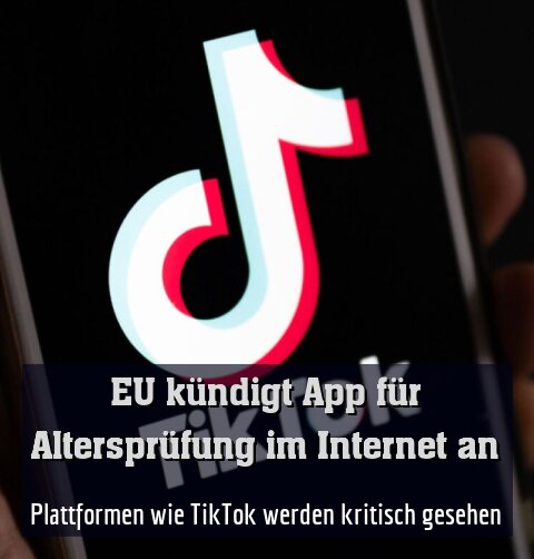Plattformen wie TikTok werden kritisch gesehen