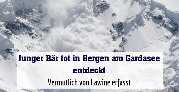Vermutlich von Lawine erfasst