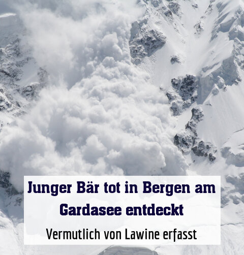 Vermutlich von Lawine erfasst