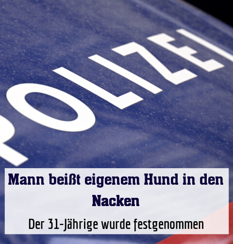 Der 31-Jährige wurde festgenommen